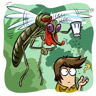 Làm gì khi bắt được muỗi